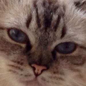 Meet your Posher, Angie